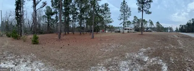 163 Dellwood Road, Swainsboro, GA 30401 - Image #2