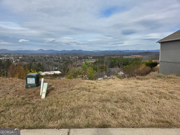 LOTS Village Dr, Dahlonega, GA 30533
