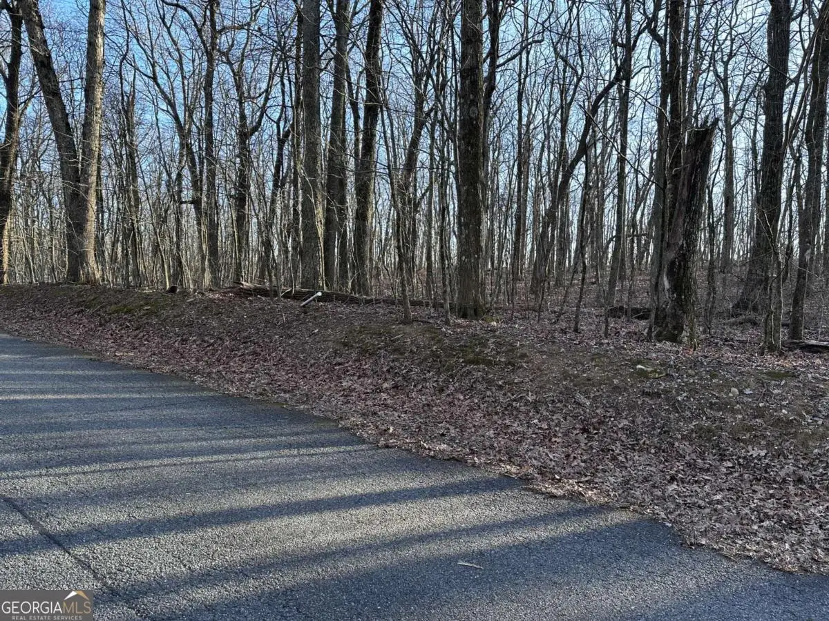 183 St Andrews Way, Ellijay, GA 30536 - Image #1