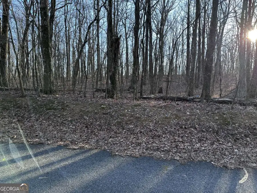 183 St Andrews Way, Ellijay, GA 30536 - Image #3