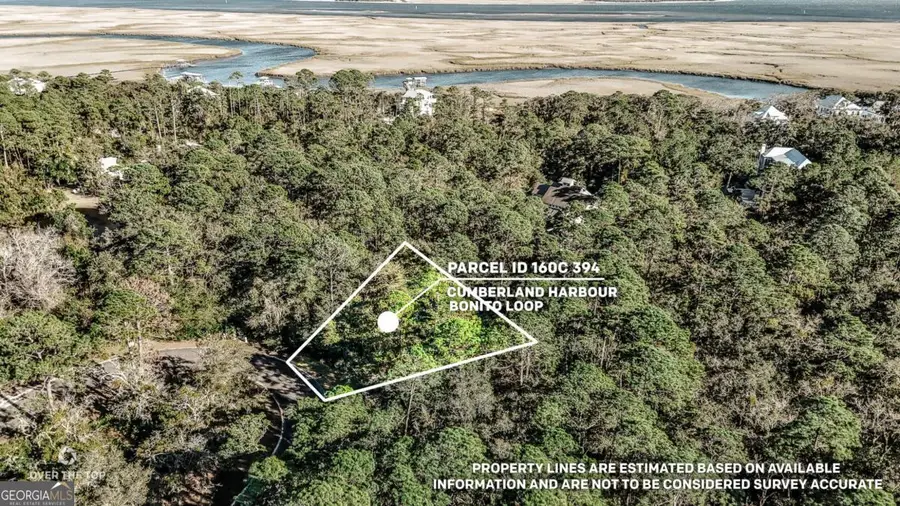 V/L 394 Bonito Loop, Saint Marys, GA 31558 - Image #3