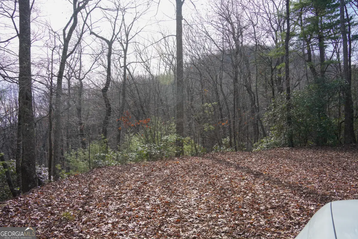 0 High Holly #3HH, Tiger, GA 30576 - Image #1