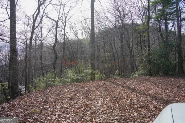 0 High Holly #3HH, Tiger, GA 30576