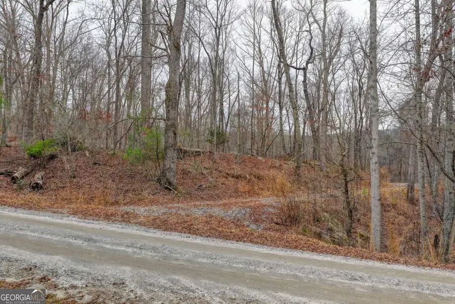 LOT5 Purvis Road, Banks, GA 30511 - Image #3