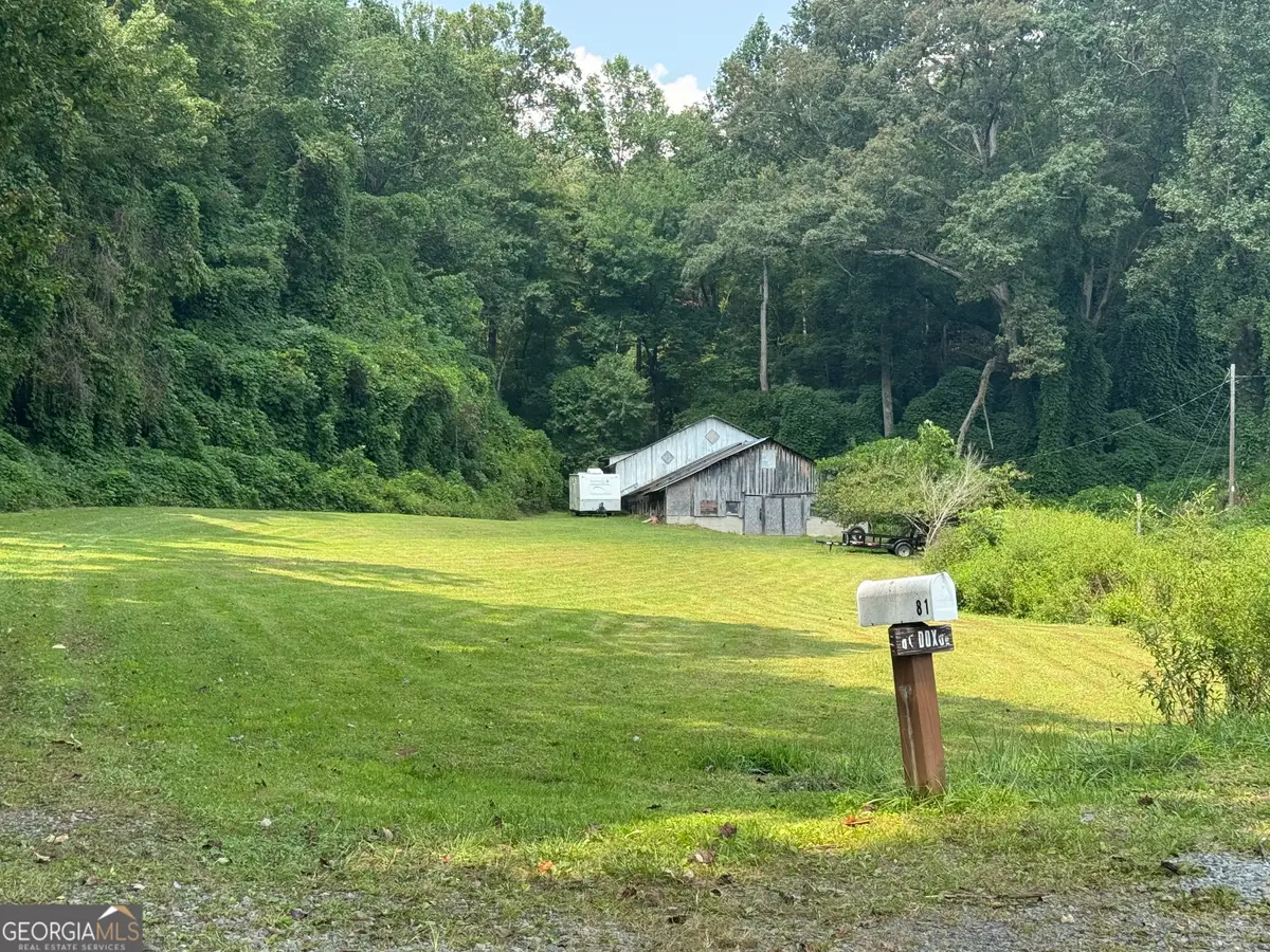 81 Doxol Street, Blue Ridge, GA 30513 - #1
