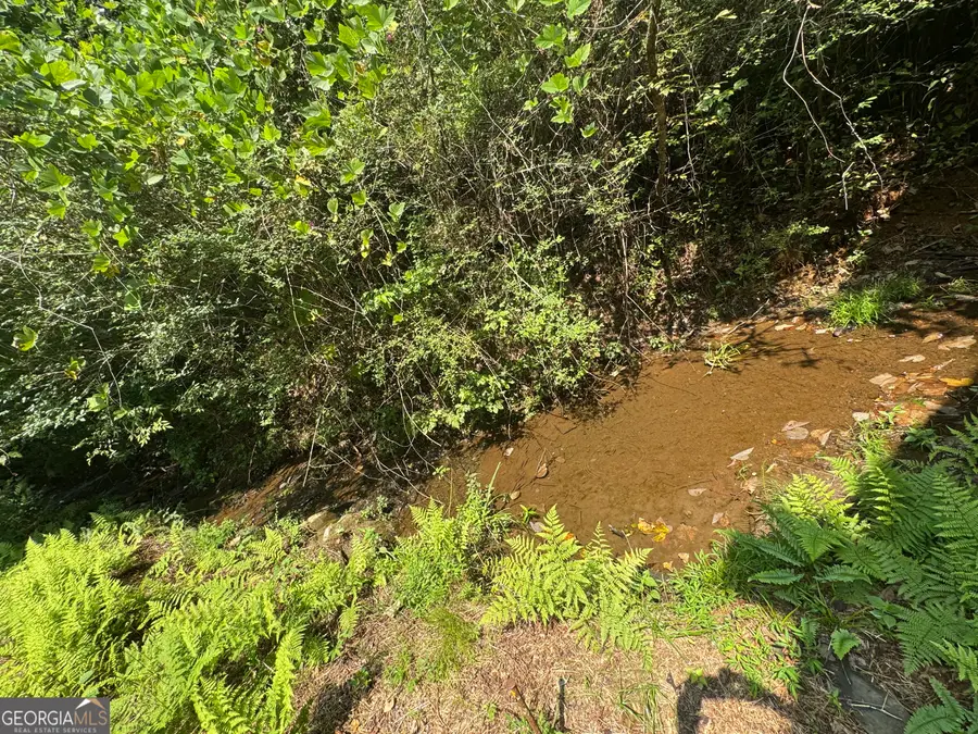 81 Doxol Street, Blue Ridge, GA 30513 - #3