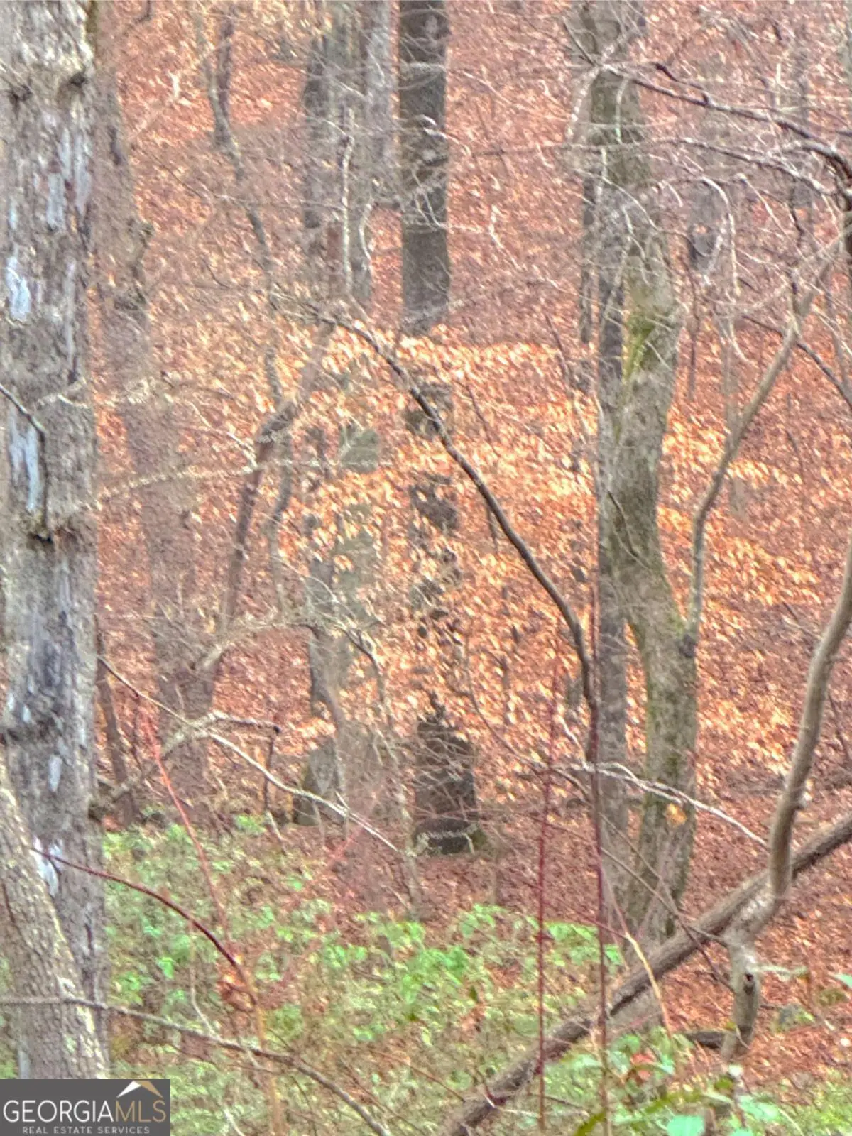 0 Crooked Creek, Jasper, GA 30143 - Image #1