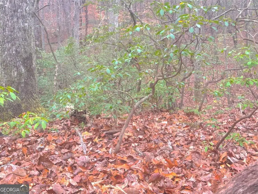0 Crooked Creek, Jasper, GA 30143 - Image #3