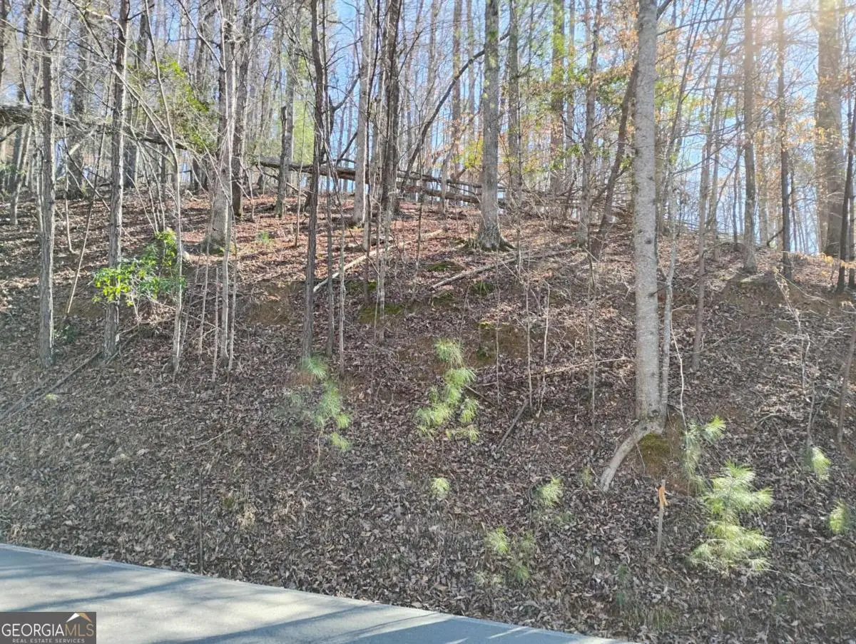 LT 2090R Newport Drive #2090R, Ellijay, GA 30540 - Image #1