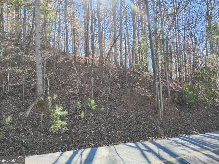 LT 2090R Newport Drive #2090R, Ellijay, GA 30540 - Image #2