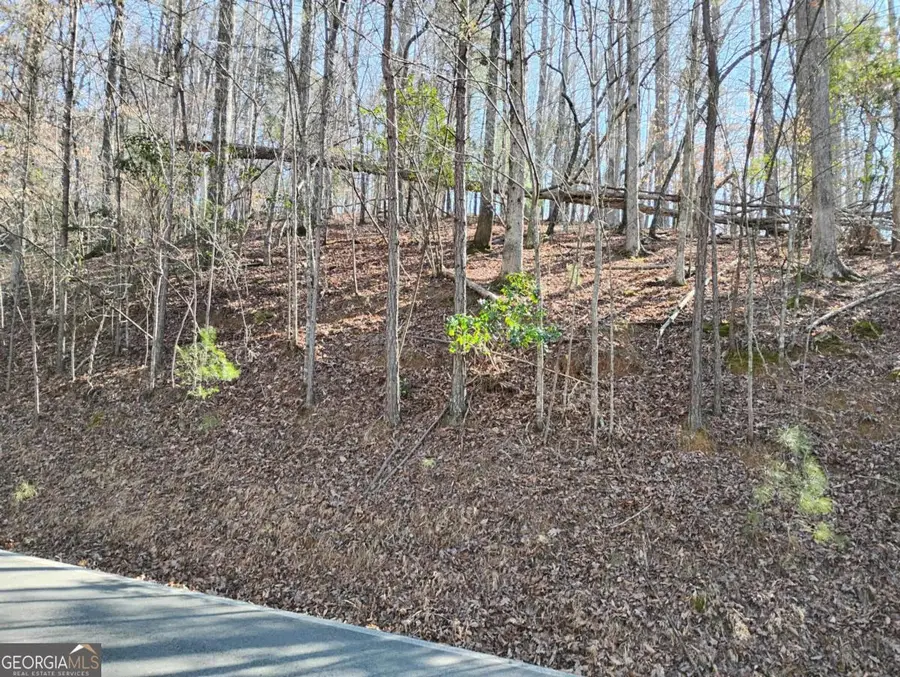 LT 2090R Newport Drive #2090R, Ellijay, GA 30540 - Image #3