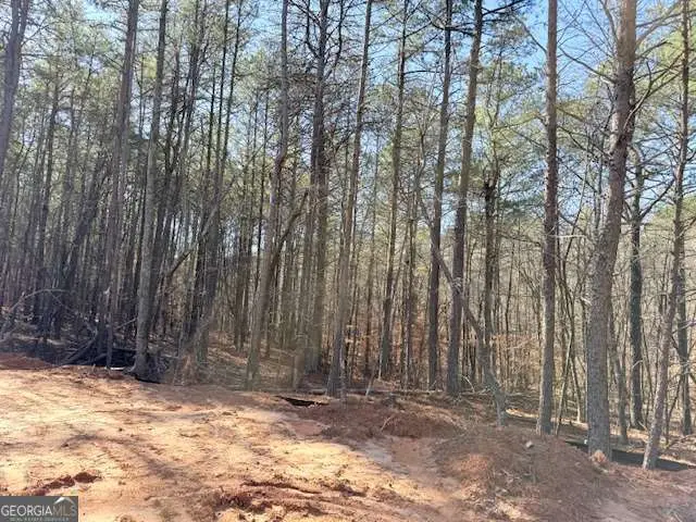 2121 Highway 101 N, Dallas, GA 30157 - Image #2