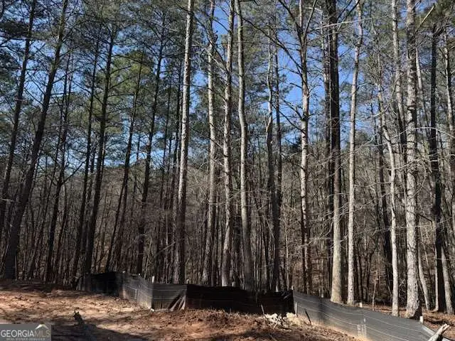 2121 Highway 101 N, Dallas, GA 30157 - Image #3