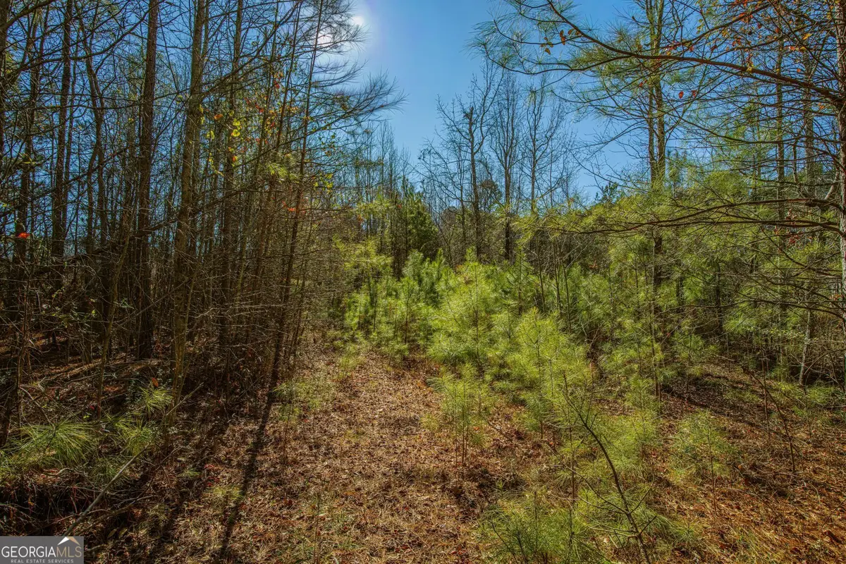 842 Woodchase Drive, Monroe, GA 30655 - Image #1