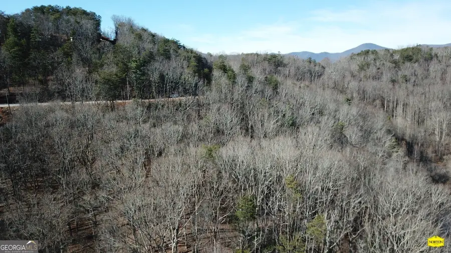 218 Otter Way, Dahlonega, GA 30533 - Image #3