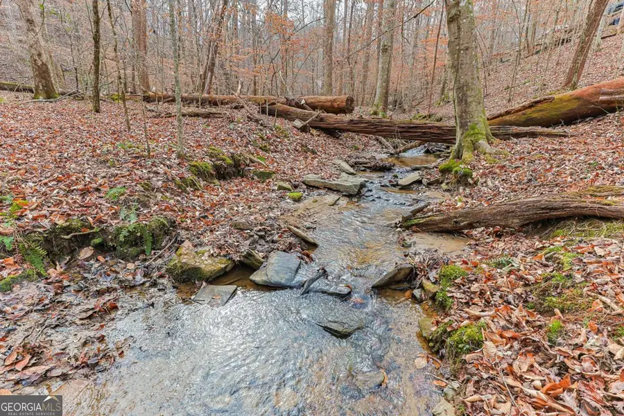 30 Chancel Circle #654R, Ellijay, GA 30540 - Image #3