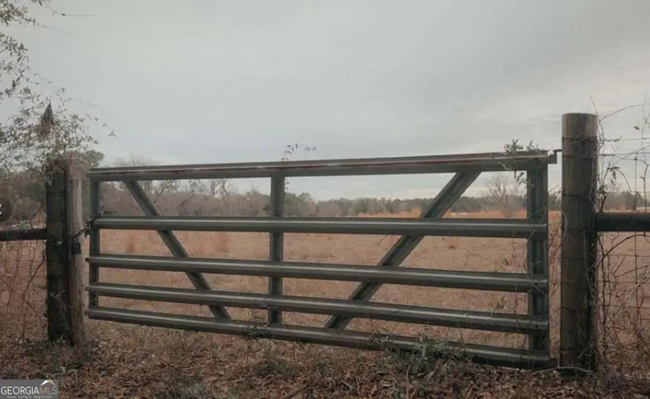 0 Sylvester Drive, Nahunta, GA 31553 - Image #1