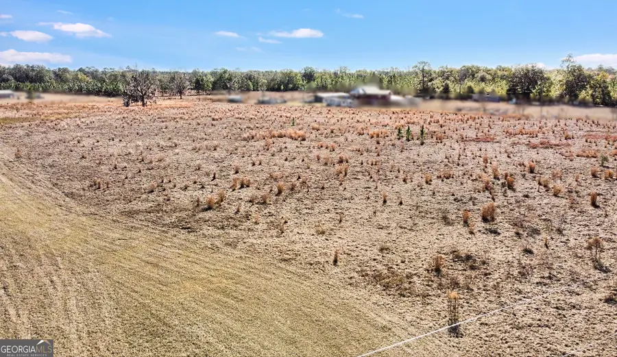 0 Sylvester Drive, Nahunta, GA 31553 - Image #2