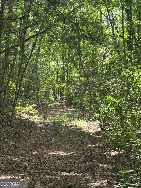 10.96 AC Paramount Trail, Ellijay, GA 30536 - Image #2