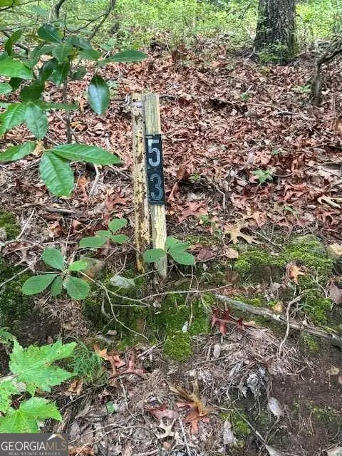 10.96 AC Paramount Trail, Ellijay, GA 30536 - Image #3