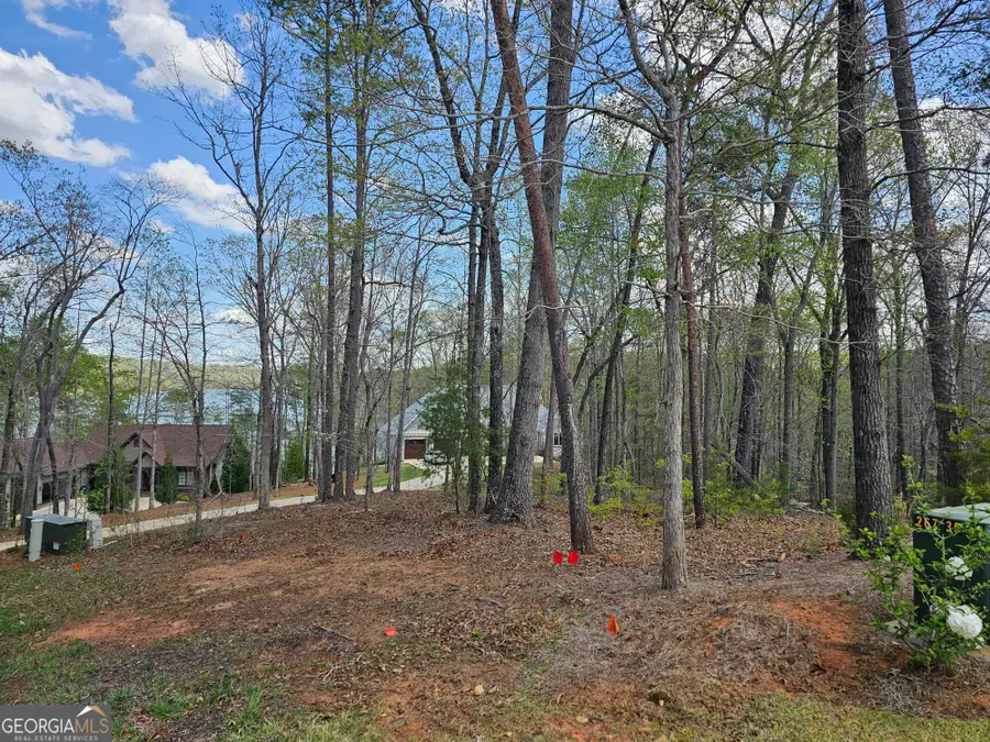 173 Edgewater Trail S, Toccoa, GA 30577 - Image #3