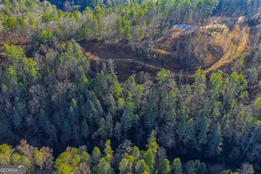 TRACT B Hicks Ford Road, Ellijay, GA 30540 - #2