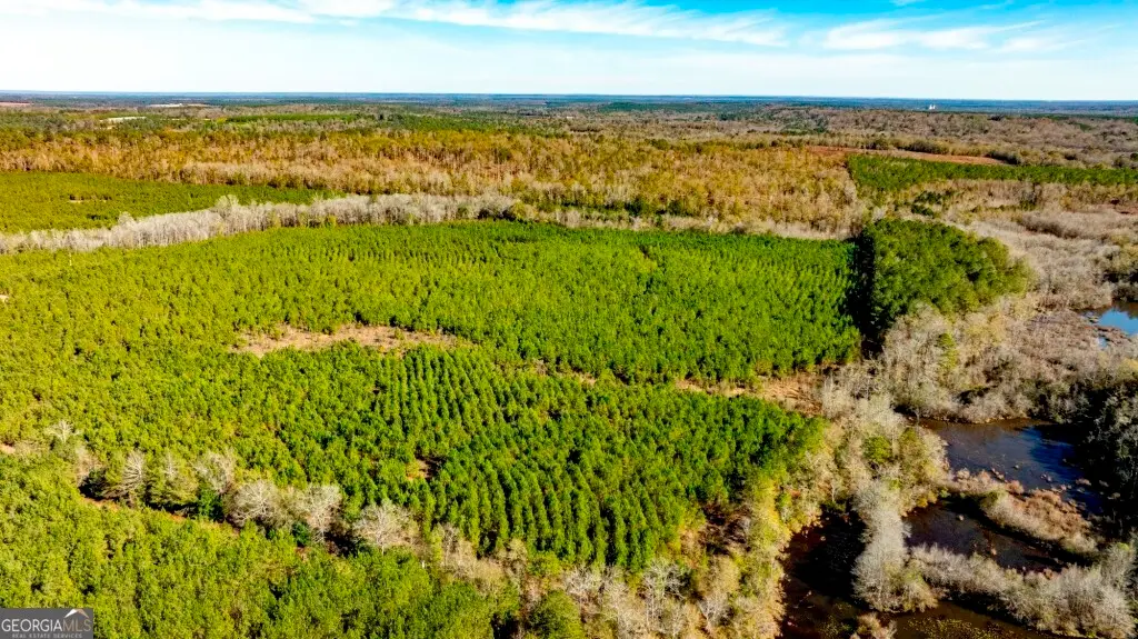 0 Mead Rd. & Cemetery Road, Ideal, GA 31041 - Image #1