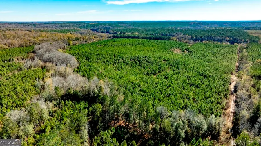 0 Mead Rd. & Cemetery Road, Ideal, GA 31041 - Image #2