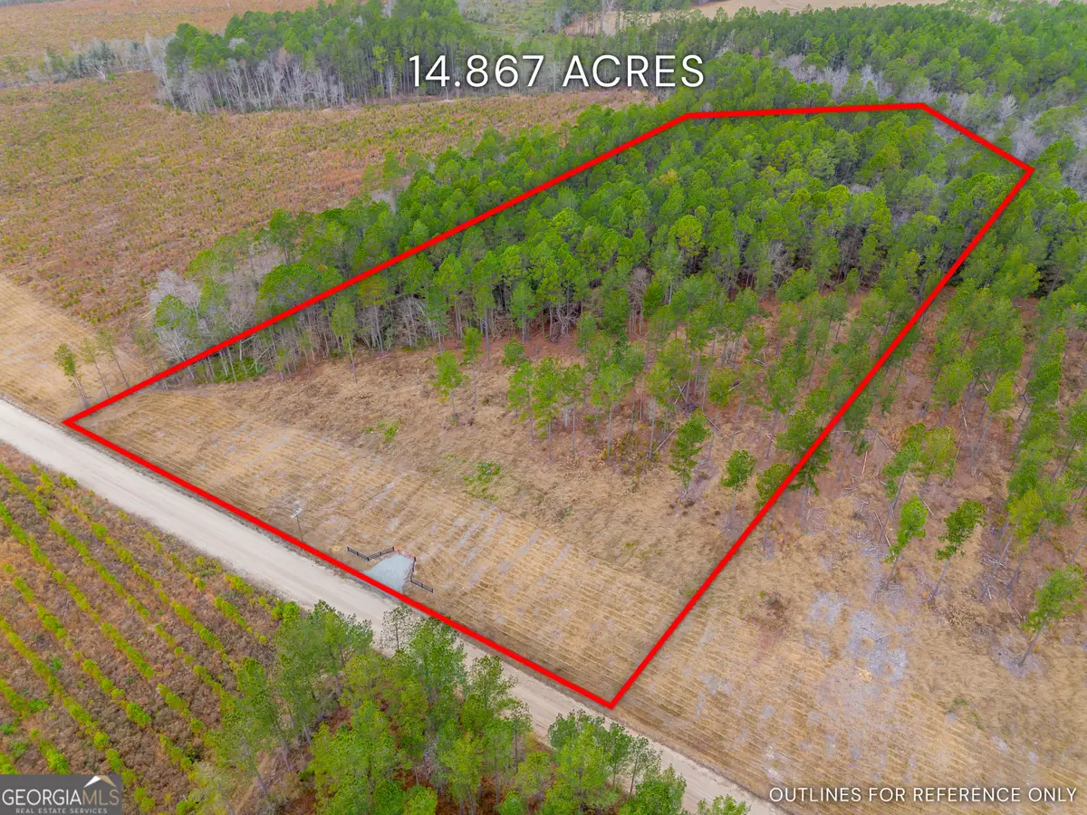 LOT 17 Lanes Church Road, Brooklet, GA 30415 - Image #1