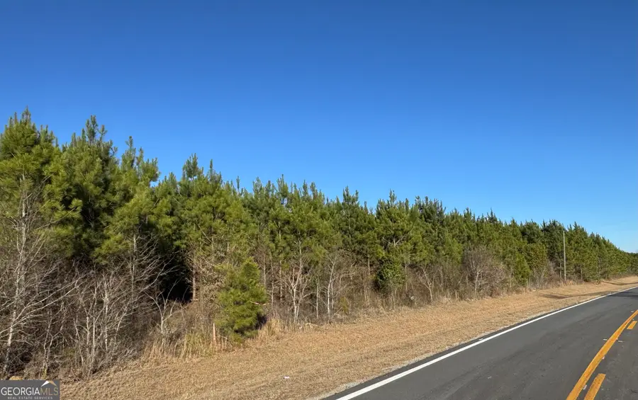 LOT 7A Whitfield Road, Elko, GA 31025 - Image #2