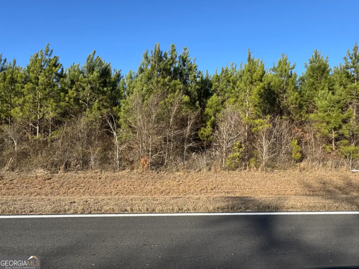 LOT 8A Whitfield Road, Elko, GA 31025 - Image #1
