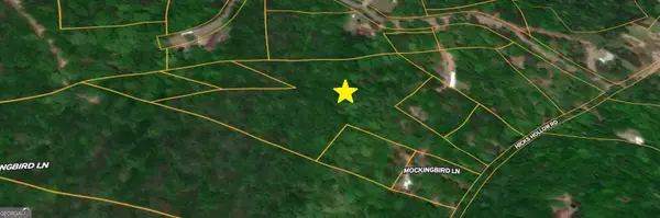 0 Hicks Hollow Road, Trenton, GA 30752