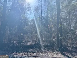 138-140 Dogwood Lane, Midway, GA 31320 - Image #3