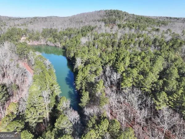 15 +/- Acres On E. Hermitage Road, Kingston, GA 30145