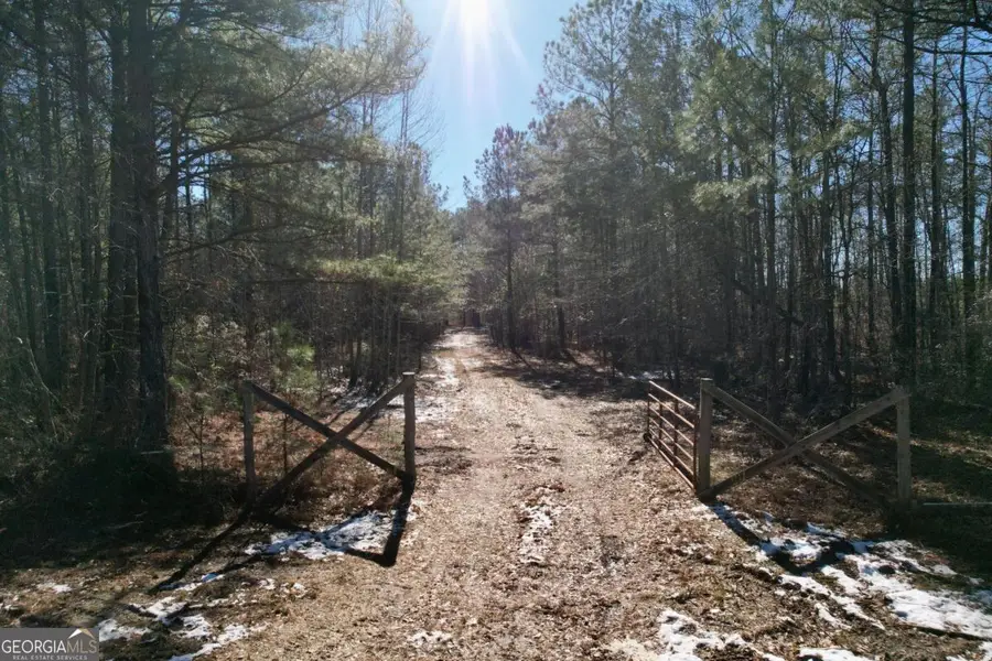 675 Jackson Road, Wrightsville, GA 31096 - Image #2