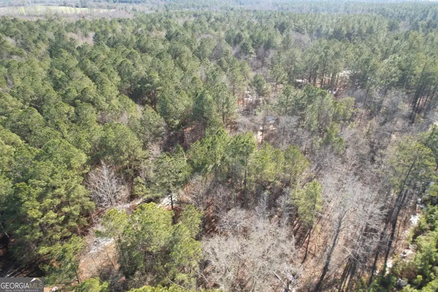 675 Jackson Road, Wrightsville, GA 31096 - Image #3