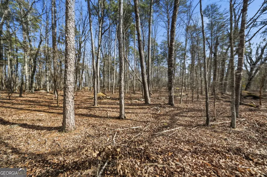 0 Mulberry Circle, Jasper, GA 30143 - Image #2