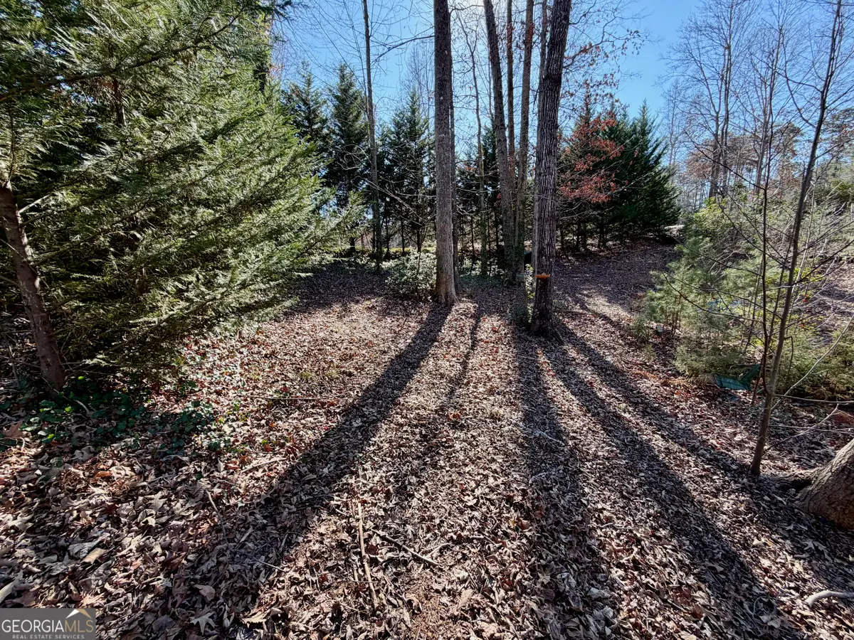 485 Imperial Drive, Martin, GA 30557 - Image #1