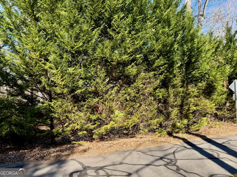 485 Imperial Drive, Martin, GA 30557 - Image #3