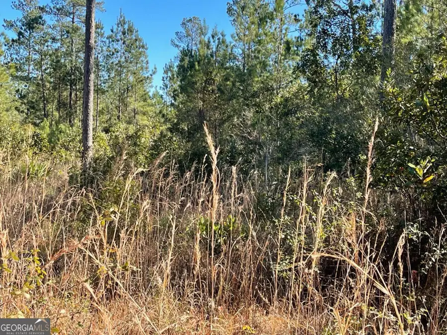 0 Landing Trail, Waynesville, GA 31566 - Image #2