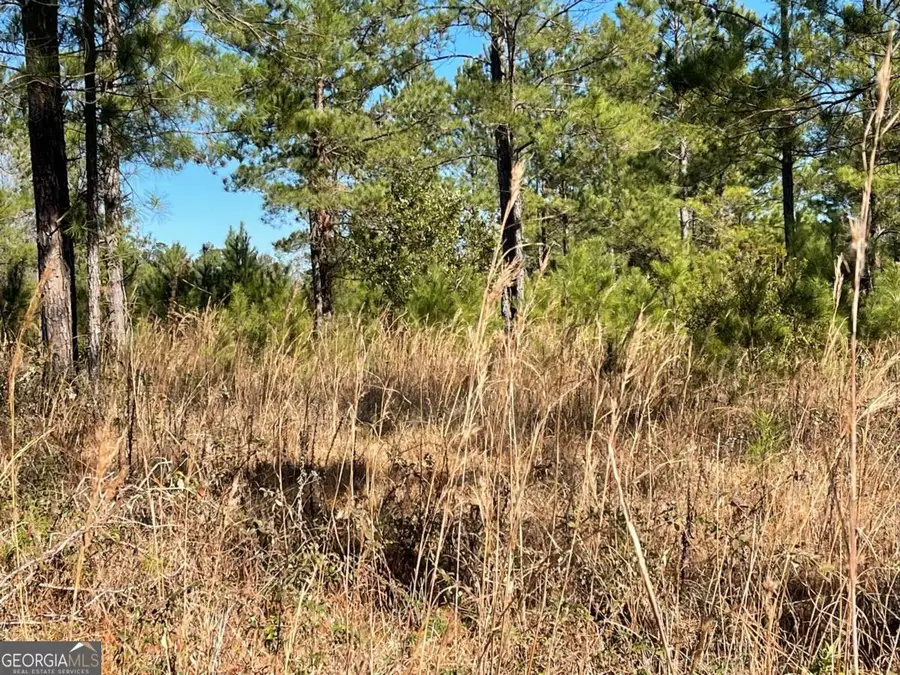 0 Landing Trail, Waynesville, GA 31566 - Image #3