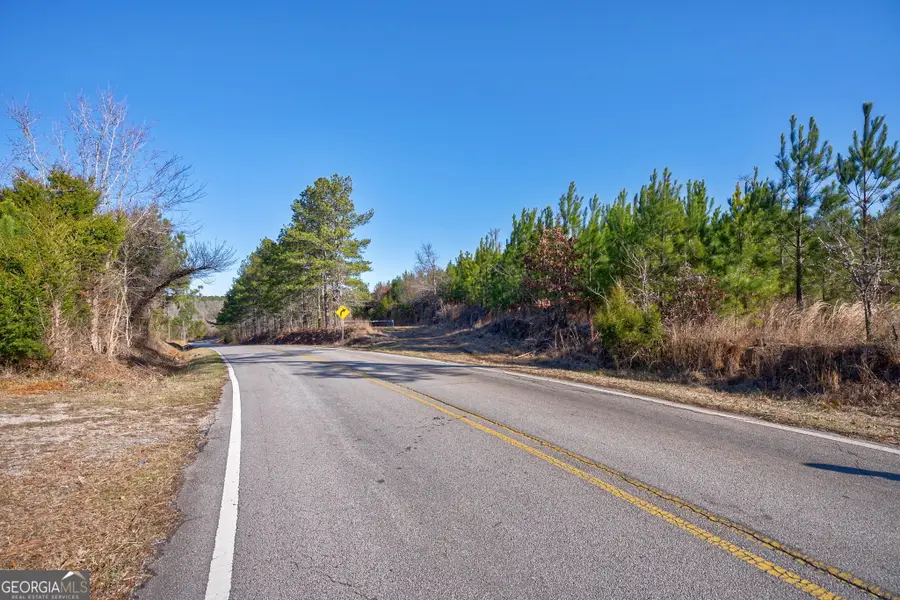 0 Lower Harmony Road, Eatonton, GA 31024 - #3