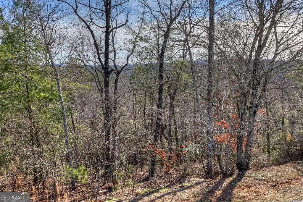 112 Fawn Way, Mineral Bluff, GA 30559 - Image #1