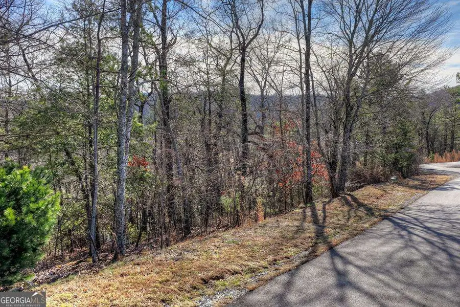 112 Fawn Way, Mineral Bluff, GA 30559 - Image #2