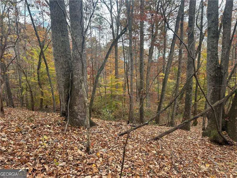 932 Sardis Road, Canton, GA 30114 - Image #1