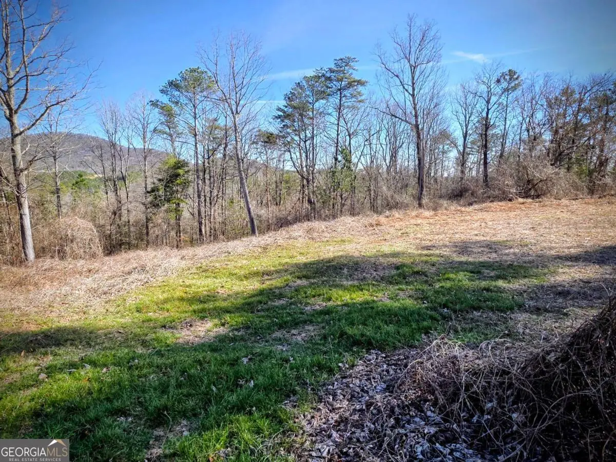TBD Cowart Mountain Tract 2 Road, Jasper, GA 30143 - Image #1