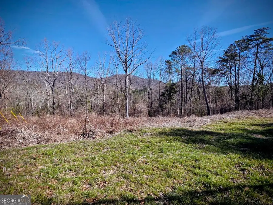 TBD Cowart Mountain Tract 2 Road, Jasper, GA 30143 - Image #2