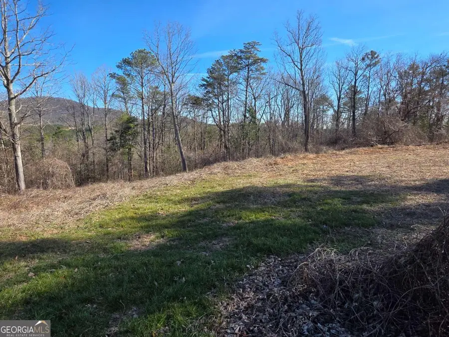 TBD Cowart Mountain Tract 2 Road, Jasper, GA 30143 - Image #3