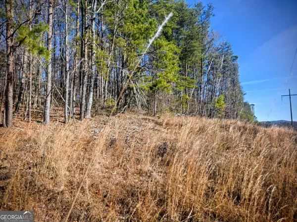 TBD Cowart Mountain Tract 3 Road, Jasper, GA 30143