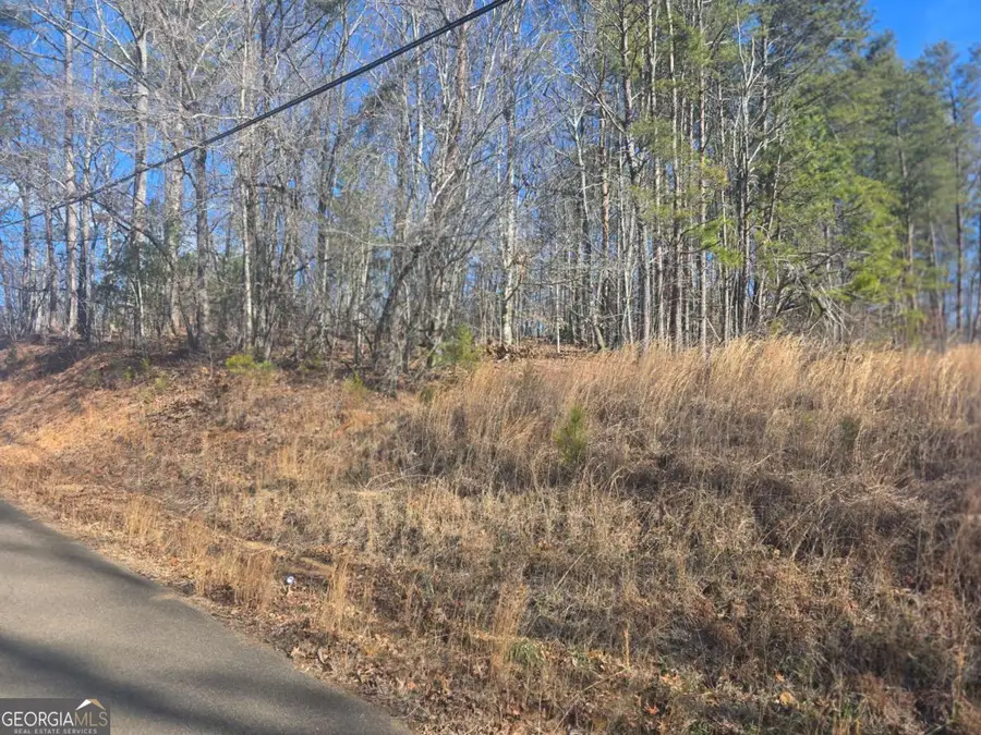 TBD Cowart Mountain Tract 3 Road, Jasper, GA 30143 - Image #2